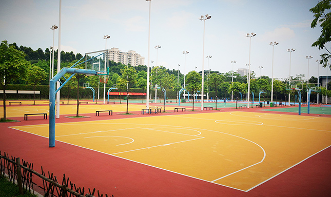 篮球架篮球场厂家博鱼体育